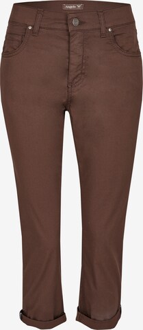 Angels Jeans in Brown: front