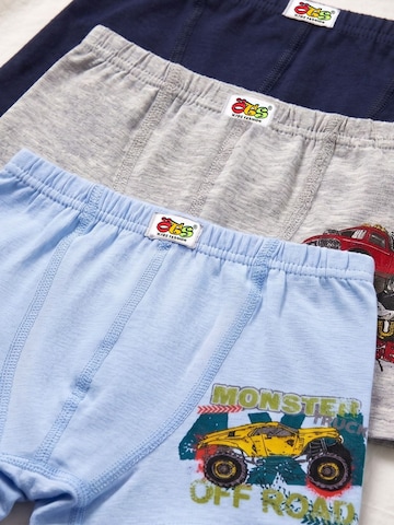 ÖTS Alsónadrág 'ÖTS Herren Boxerbriefs' - vegyes színek