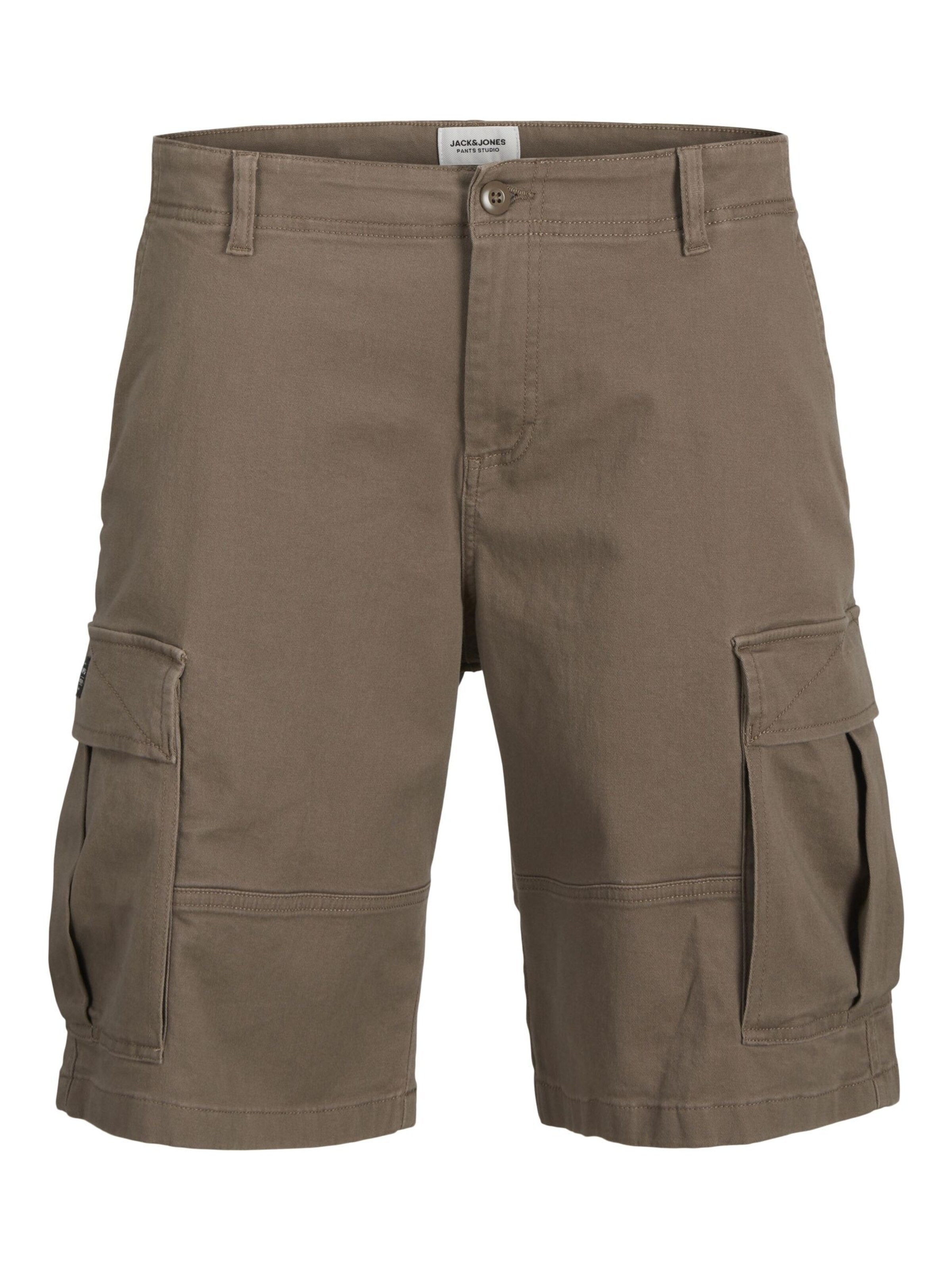 Pantalon cargo 'JPSTCole JJJonnie' JACK & JONES en marron : devant