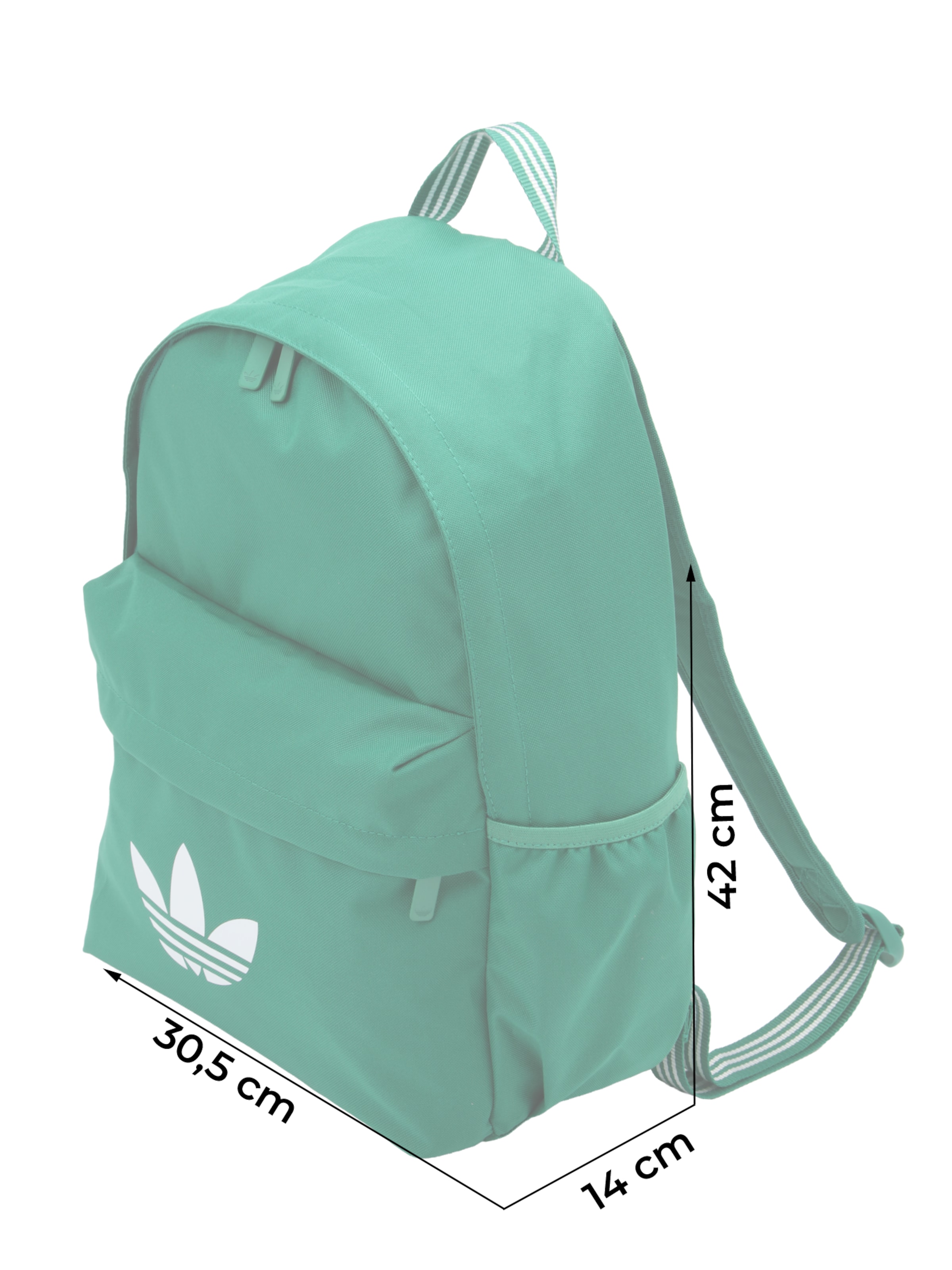 ADIDAS ORIGINALS Nahrbtnik 'Adicolor Classic' | zelena barva