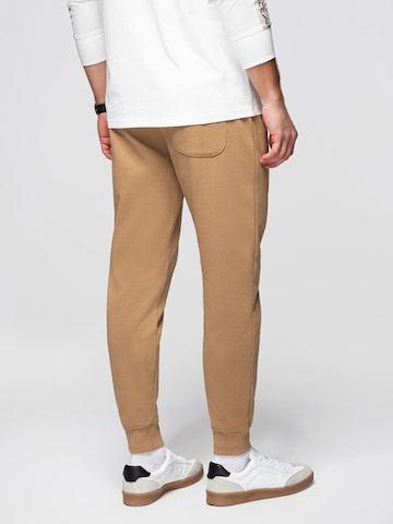 Ombre Regular Broek in Bruin