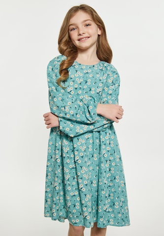 DreiMaster Vintage Dress in Green: front