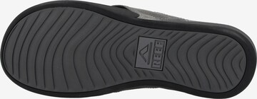 REEF Beach & Pool Shoes 'Cushion Lux' in Grey