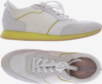Marc Cain Sneakers & Trainers in 41 in White: front