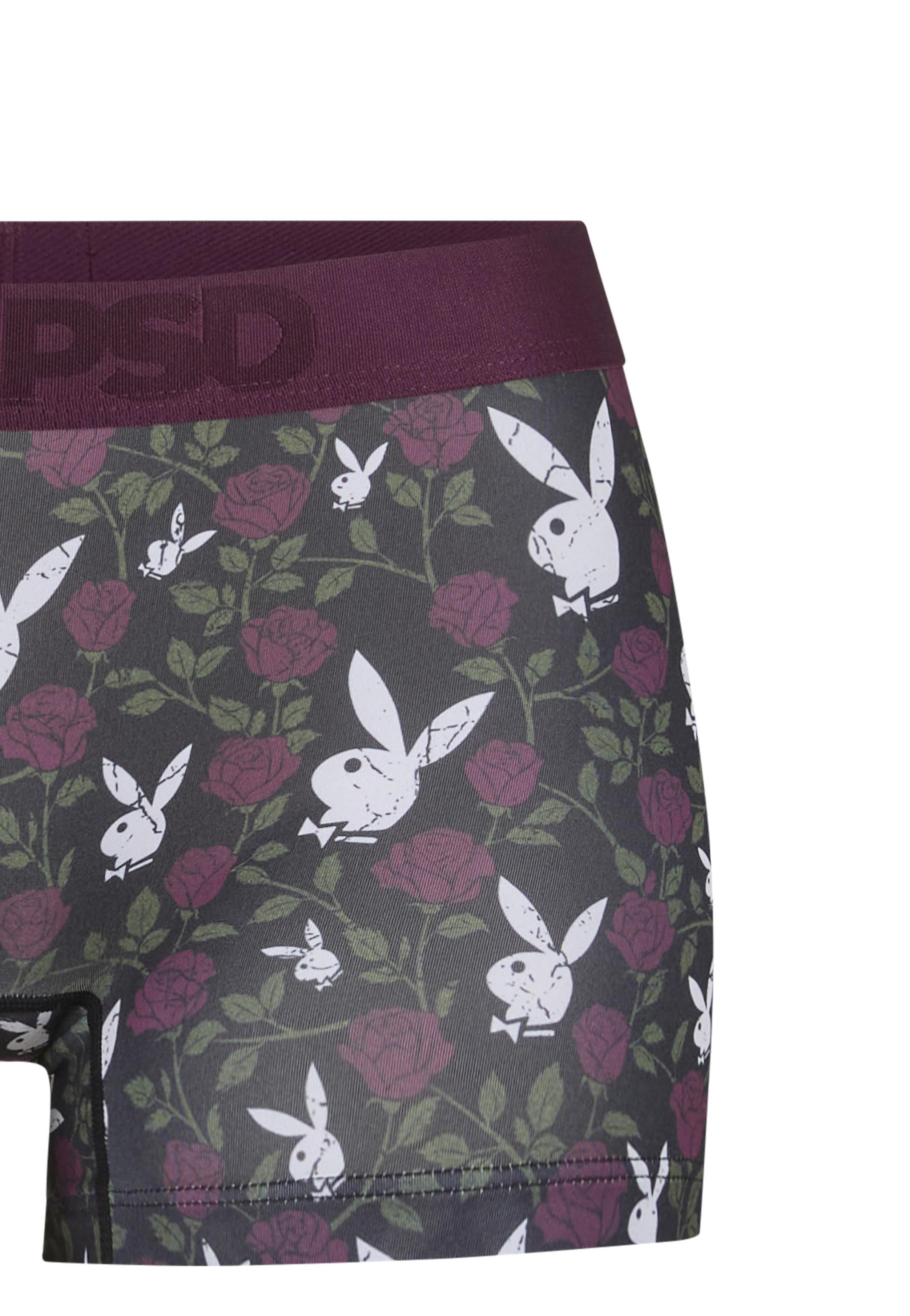 Panty di PSD in colori misti