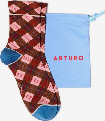 Calzino 'Arturo Argyle' di Arturo in marrone: frontale