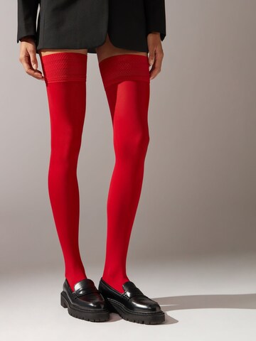CALZEDONIA Fine Stockings in Red: front