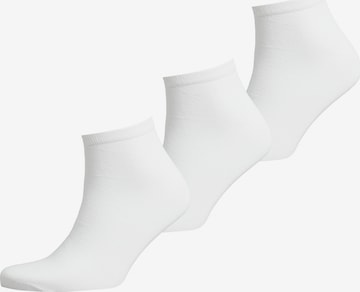 Superdry Socks in White: front