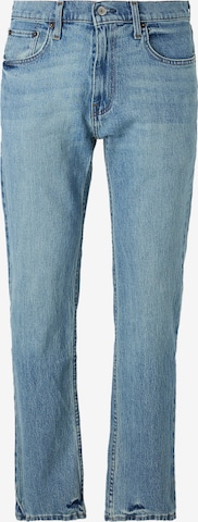 HOLLISTERTapered Traperice - plava boja: prednji dio