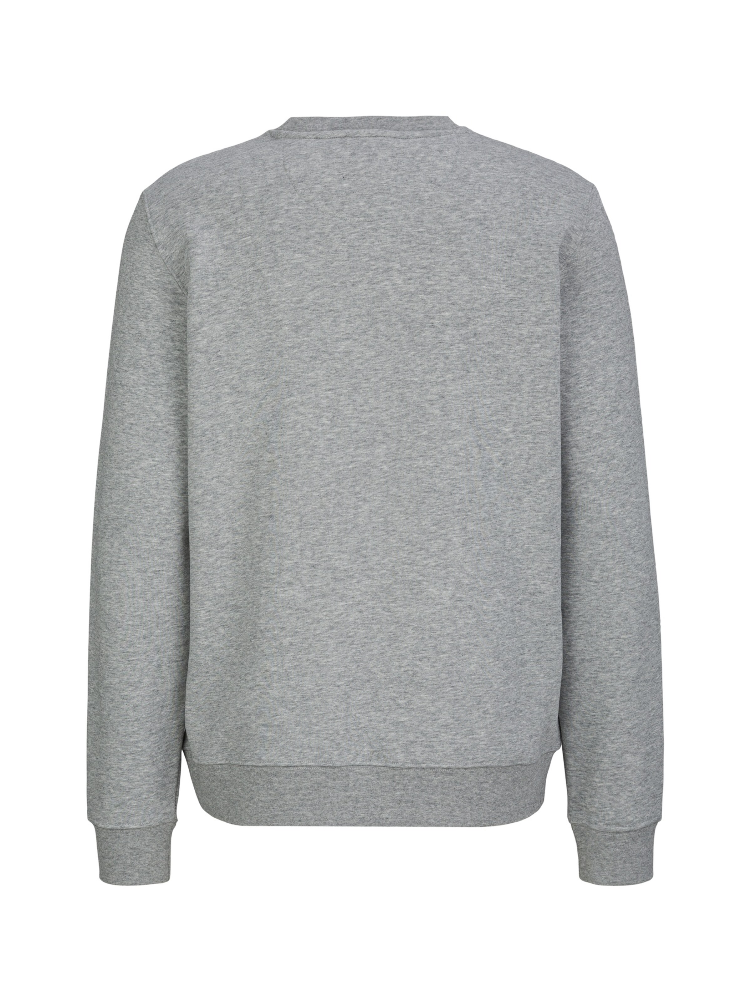19V69 ITALIA Sweatshirt 'Nico' in Grey