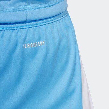 ADIDAS PERFORMANCE Regularen Športne hlače 'Tiro 24' | modra barva