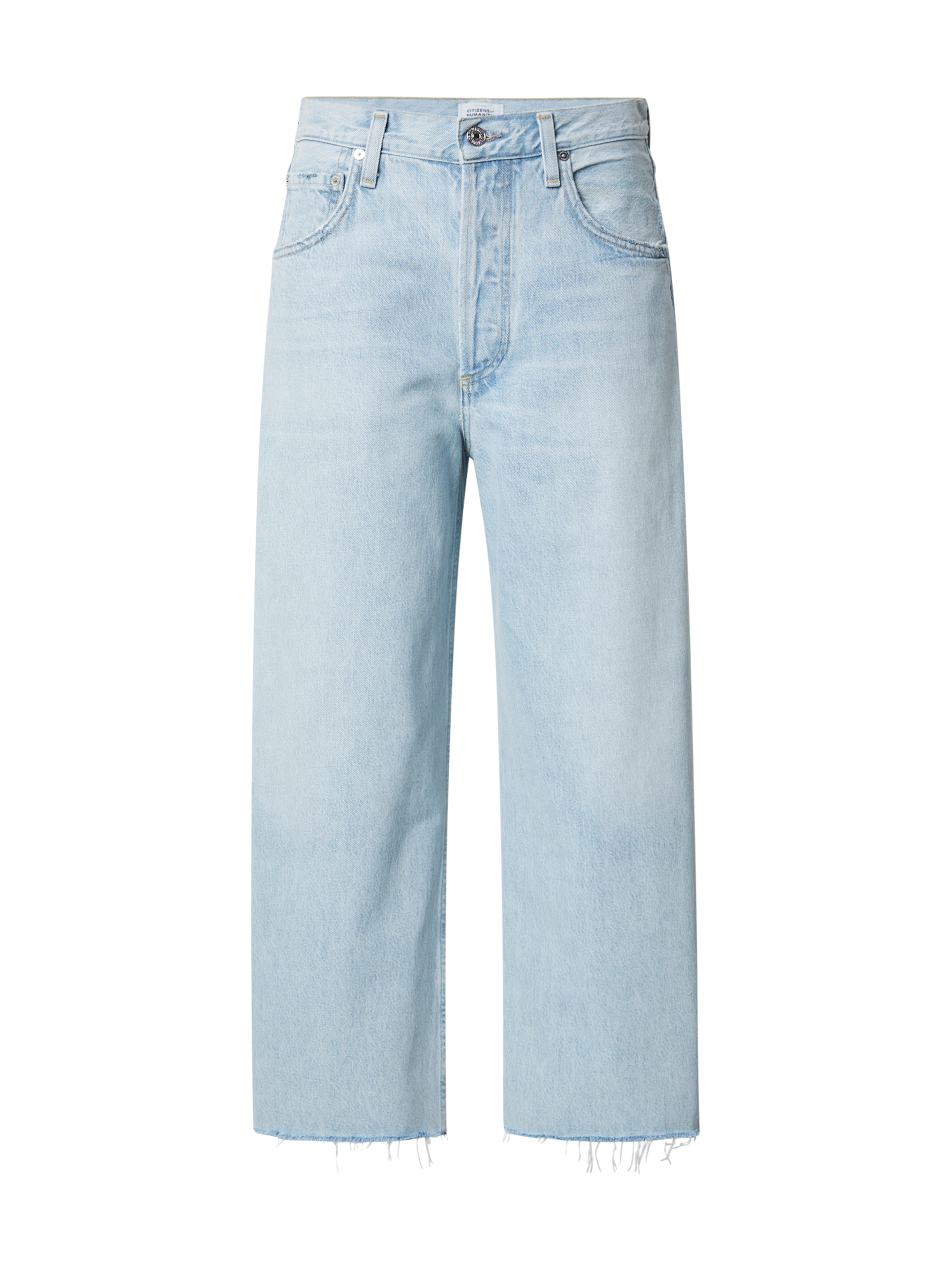 Citizens of Humanity Baggy Jeans in Blue: front