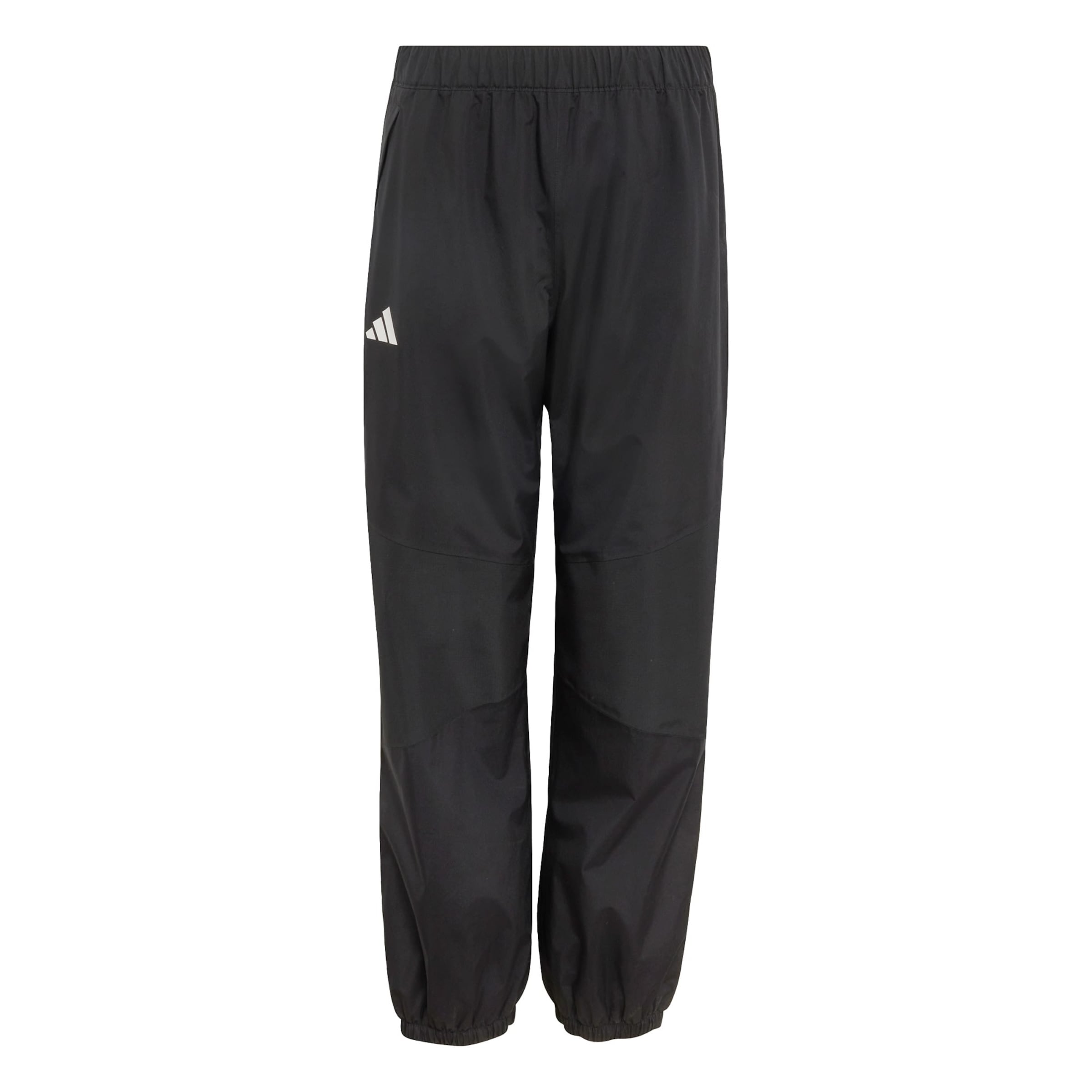 Effilé Pantalon d'extérieur ADIDAS TERREX en noir : devant