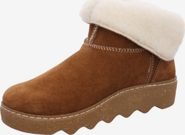 ROHDE Slippers in Brown: front