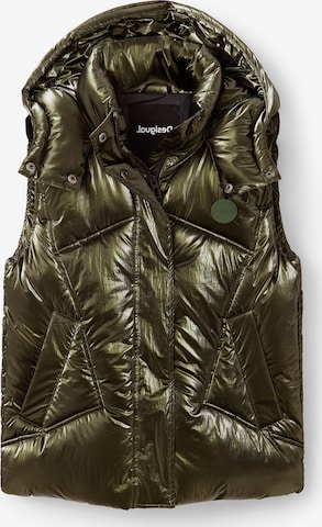 Gilet 'TERRANOVA' Desigual en vert : devant