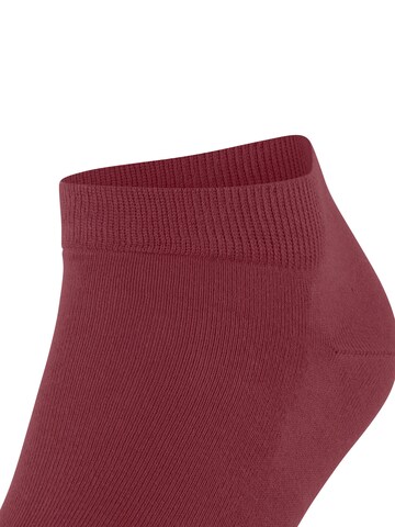 FALKE Socks 'Cool 24/7' in Red