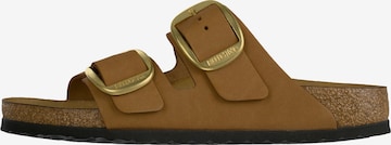 BIRKENSTOCK Pistokkaat ''Arizona Big Buckle' värissä ruskea: etupuoli