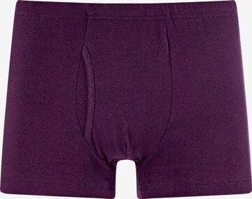 Charles Colby Boxer shorts ' Lord Anrai ' in Mixed colors