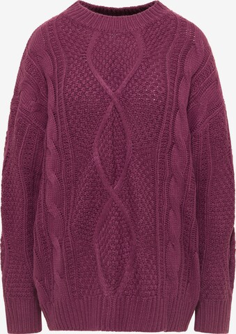 Pull-over Usha en violet : devant