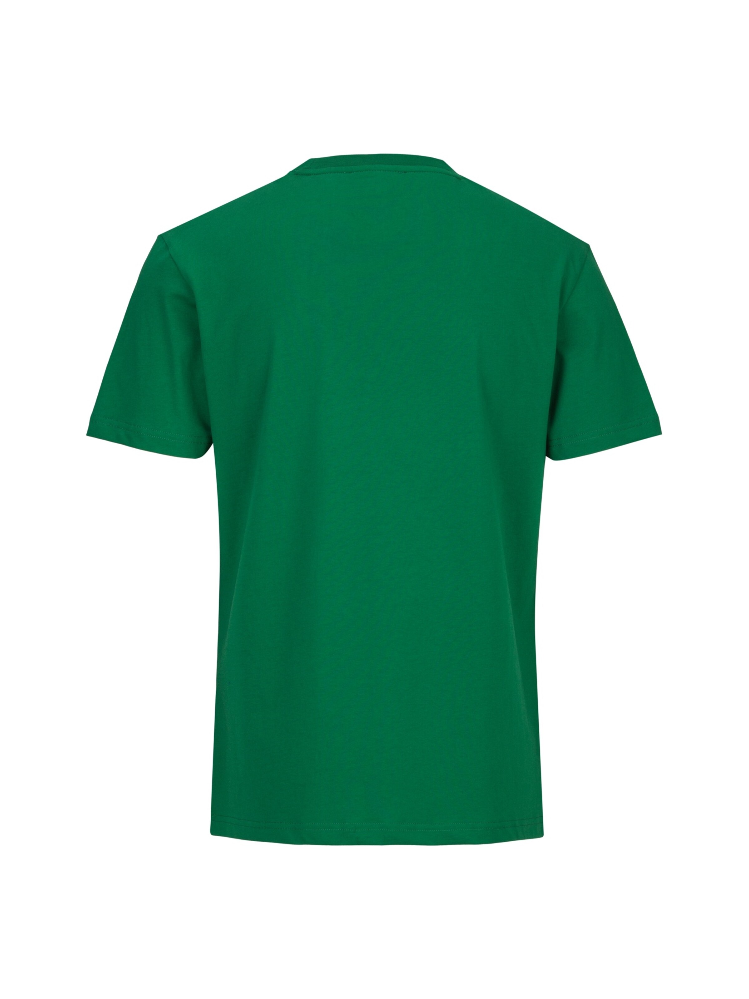 19V69 ITALIA Shirt 'Rafael Tennis 2' in Groen