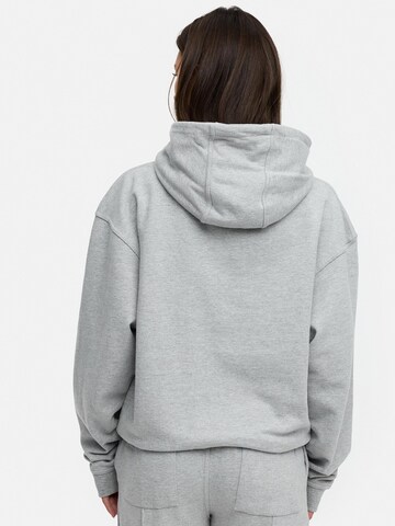 Daily Cotton Sweatshirt 'DCTERUEL' in Grey