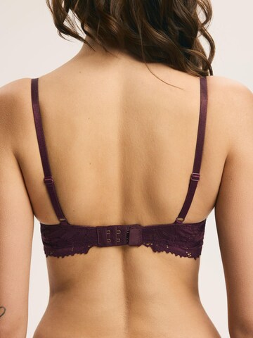 ESOTIQ - Push-up Sujetador 'Luna' en marrón