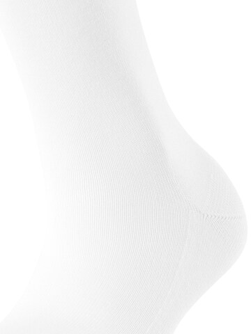 FALKE Socks 'Family' in White