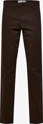 Pantalon chino 'Miles Flex' SELECTED HOMME en marron : devant