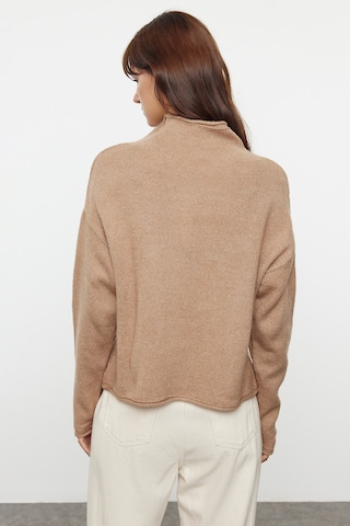 Trendyol Pulover | rjava barva