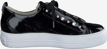 Paul Green Sneaker low in Schwarz