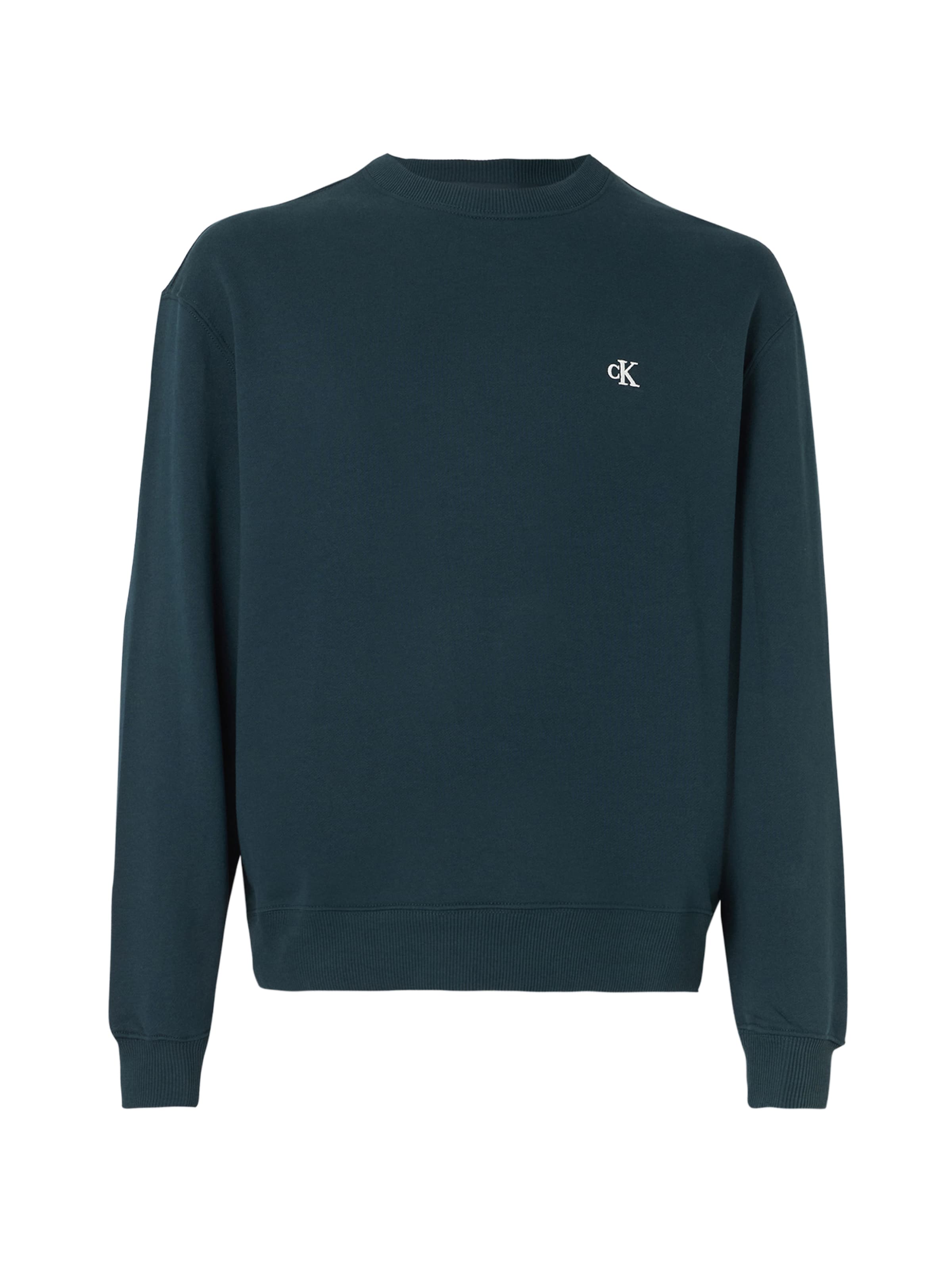 Calvin Klein Jeans Sweatshirt in Blue: front