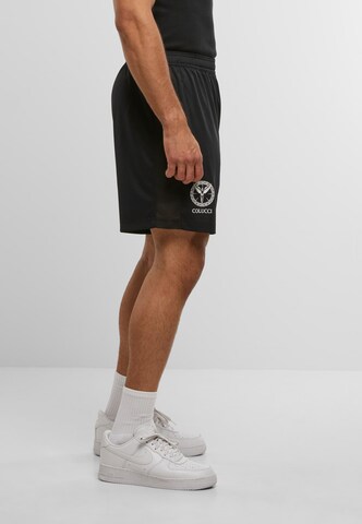 Colucci Regular Shorts in Schwarz