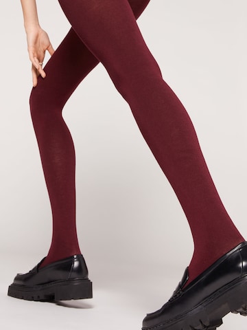 CALZEDONIA Tights 'thermo' in Red: front