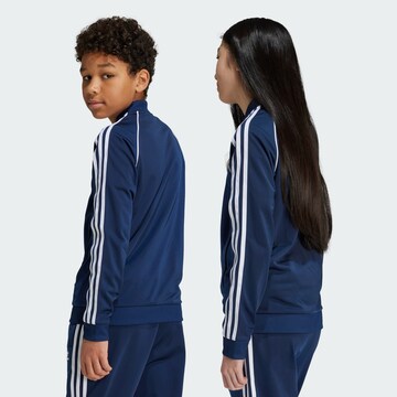ADIDAS ORIGINALS Кофта на молнии 'Adicolor' в Синий