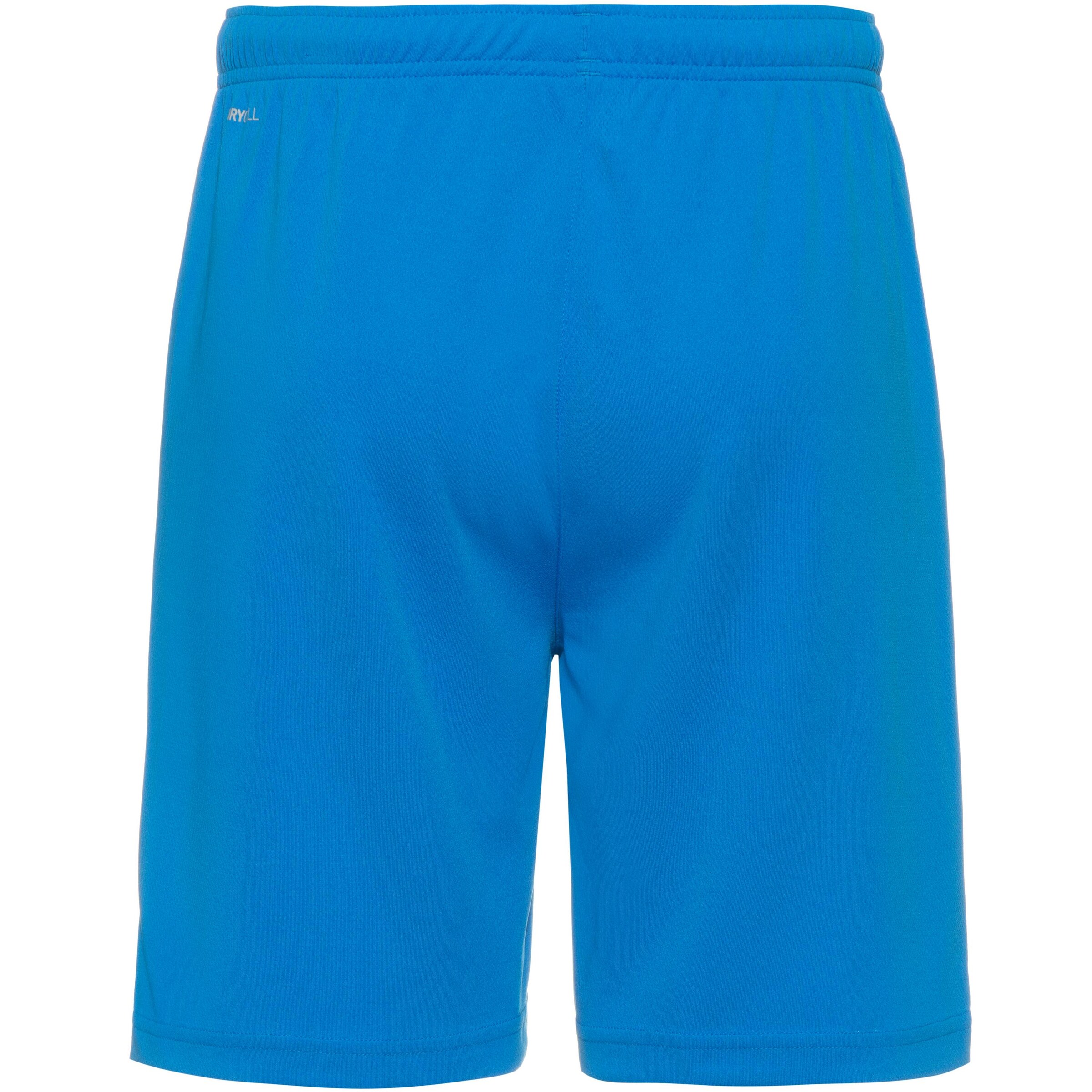 Regular Pantalon de sport 'TeamRise' PUMA en bleu