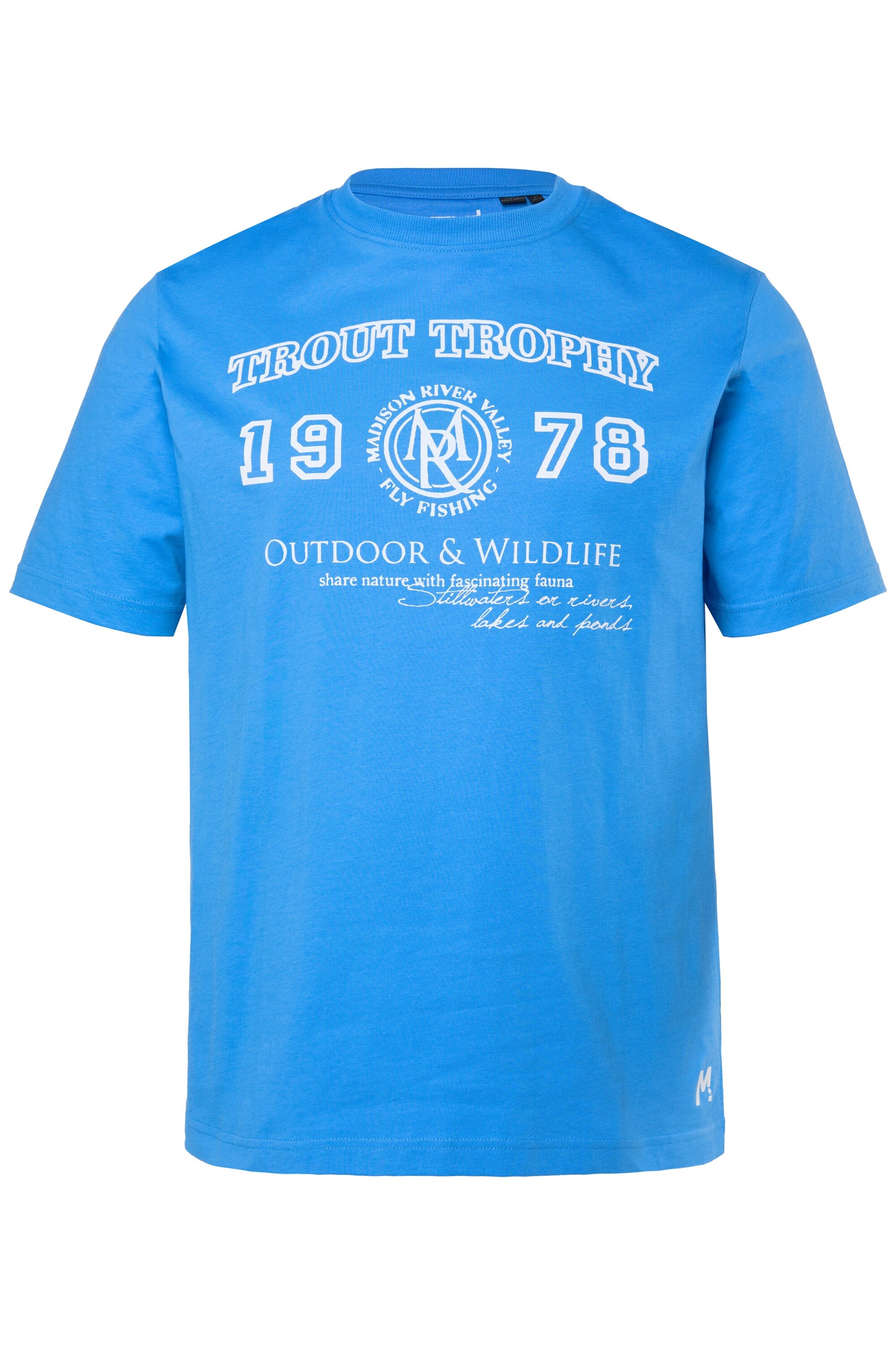 Men Plus Shirt in L in Sky blue / White, Item view