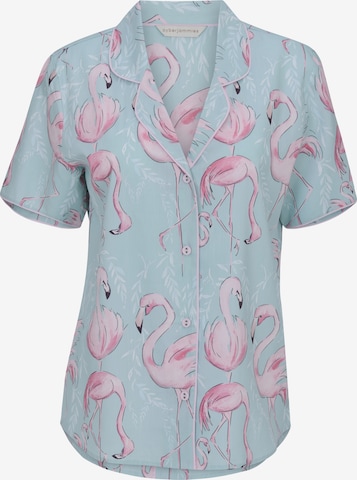 Cyberjammies Schlafshirt 'Francesca' in Grün: Vorderseite