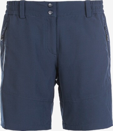 Whistler Regular Workout Pants 'LALA' in Blue: front