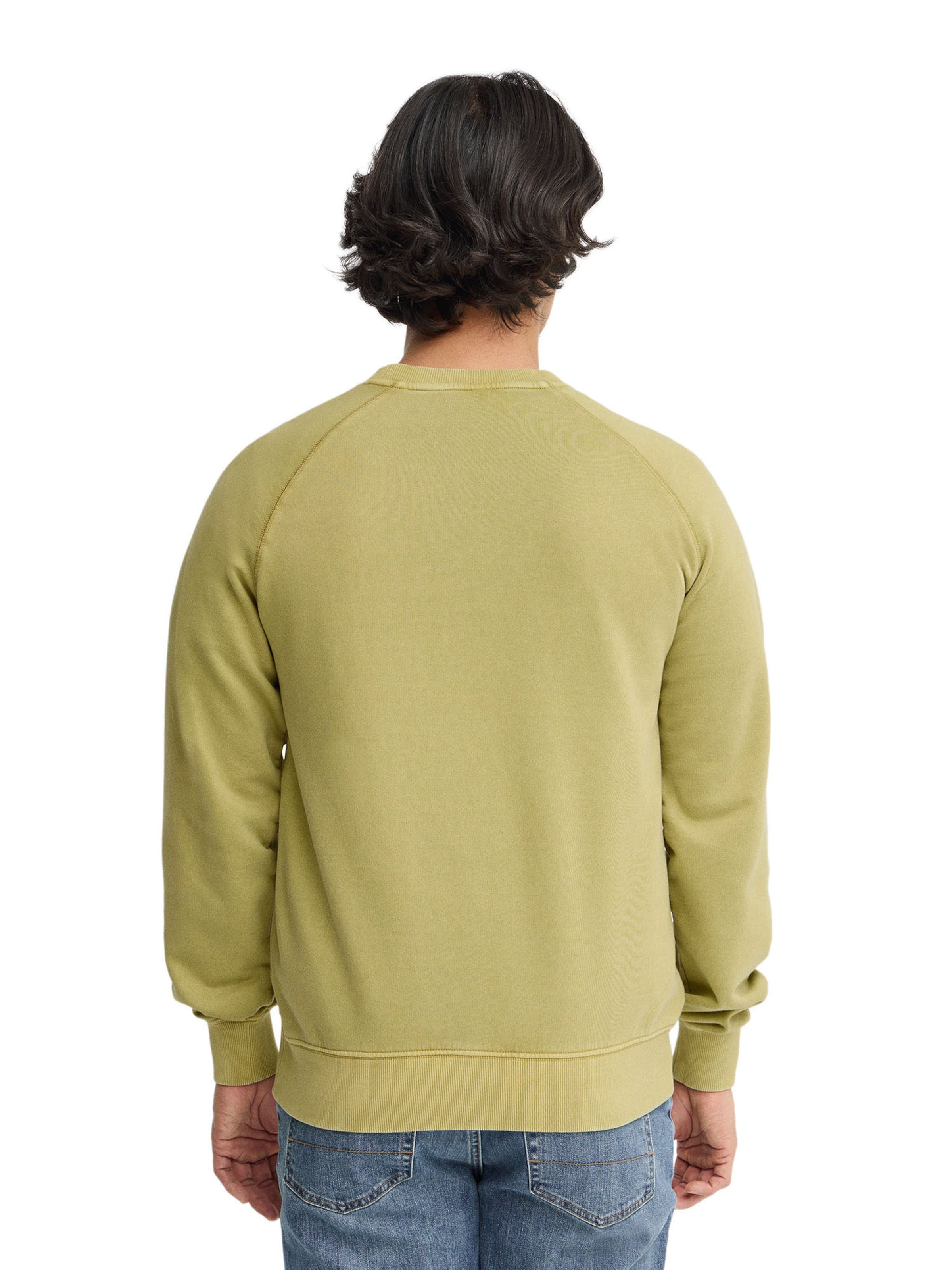 Polo Club Sweatshirt 'Rigby' in Green