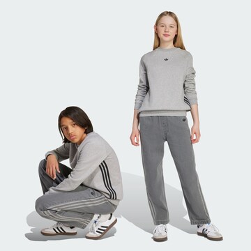 ADIDAS ORIGINALS Свободный крой Джинсы в Серый