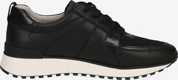 CAPRICE Sneaker in Schwarz