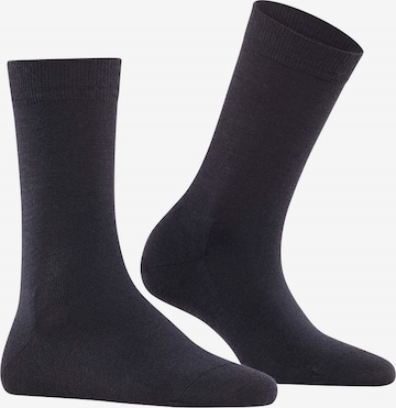 FALKE Ponožky 'Softmerino' - Modrá