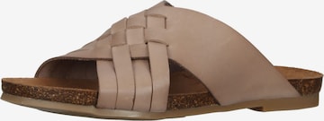 COSMOS COMFORT Mules in Brown: front