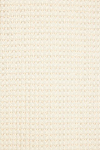 VIVANCE Sweater in Beige