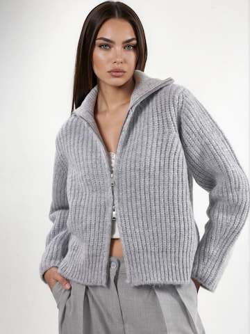 Hiccup Knit cardigan in Grey: front