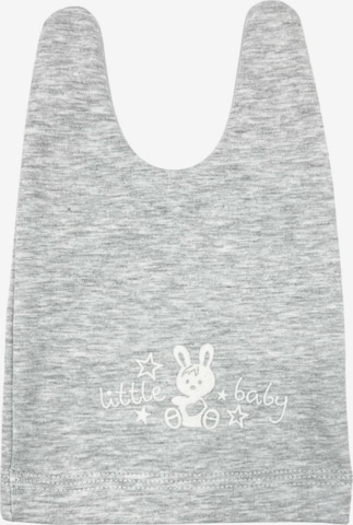 Aliap Beanie in Grey: front