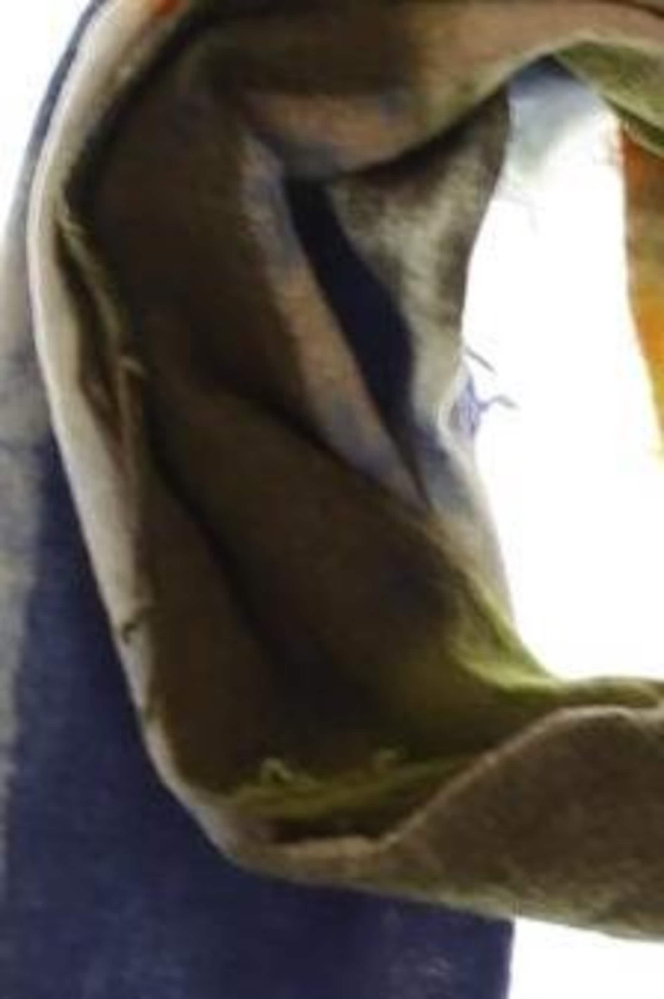 Marc O'Polo Scarf & Wrap in One size in Mixed colors