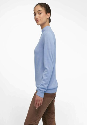 Pull-over Peter Hahn en bleu