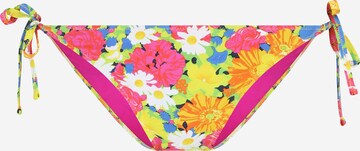 Paul Smith Bikini hlačke | zelena barva: sprednja stran