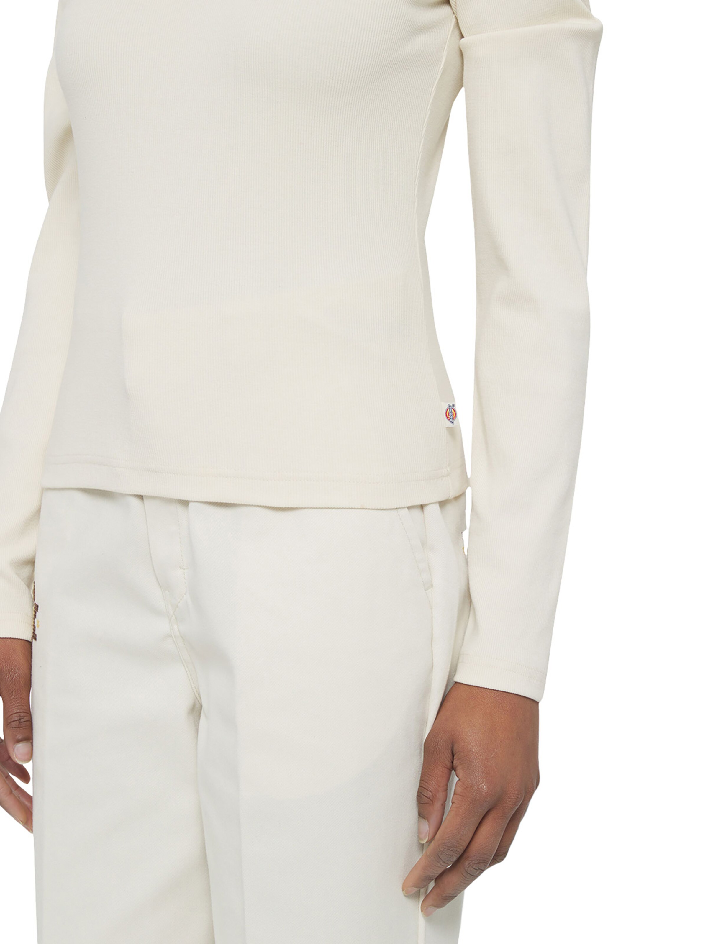 DICKIES Koszulka w kolorze beżowy